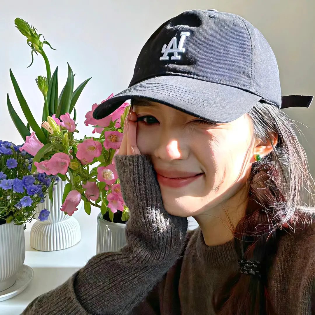 飞贼白菊花