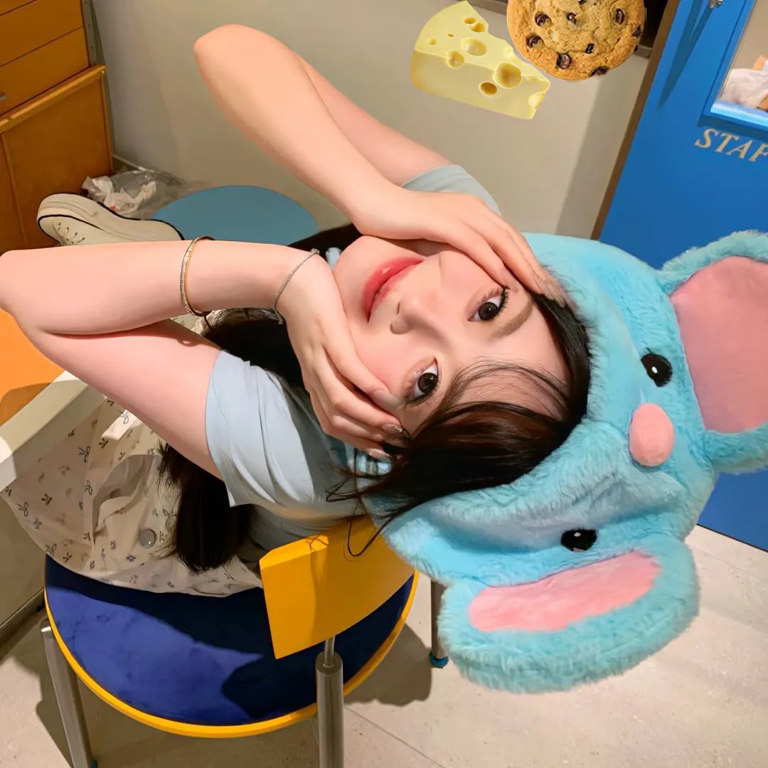燕子与鹦鹉